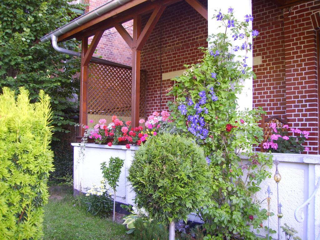 Ferienwohnung Froehlich Bad Suderode Bagian luar foto