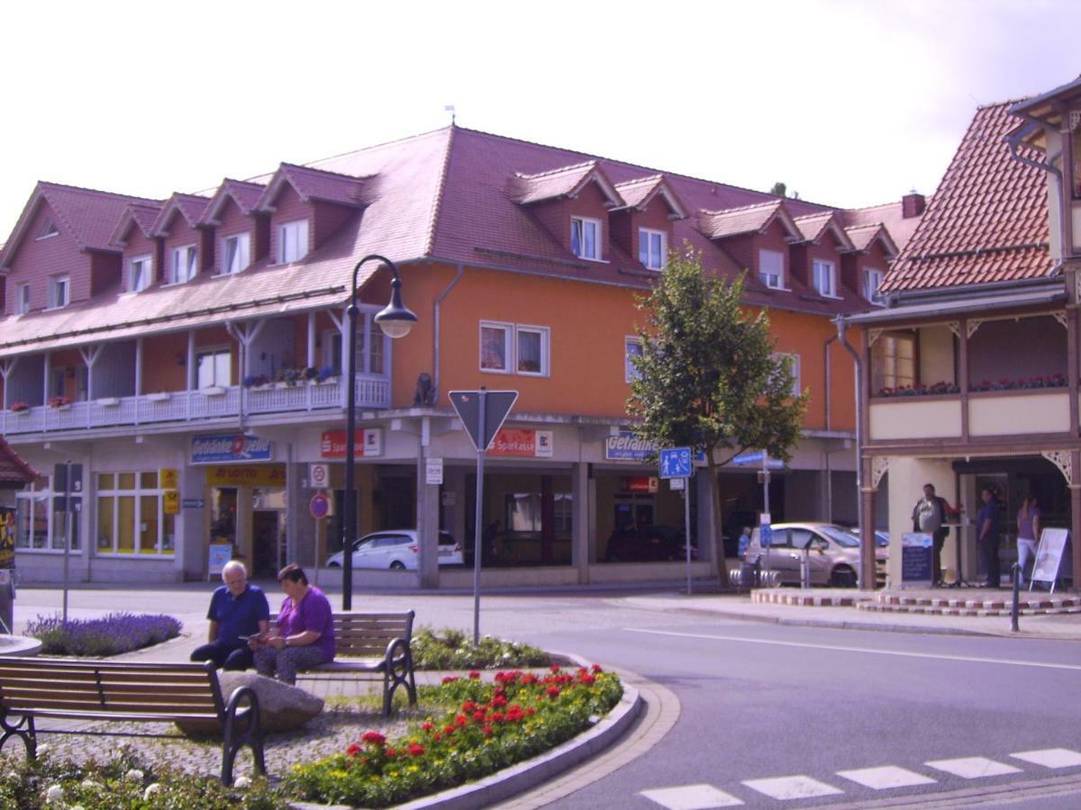 Ferienwohnung Froehlich Bad Suderode Bagian luar foto